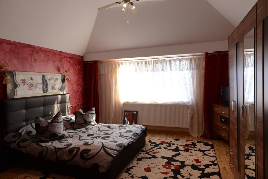 Vila Perla Sapanteana Săpînţa Rom bilde
